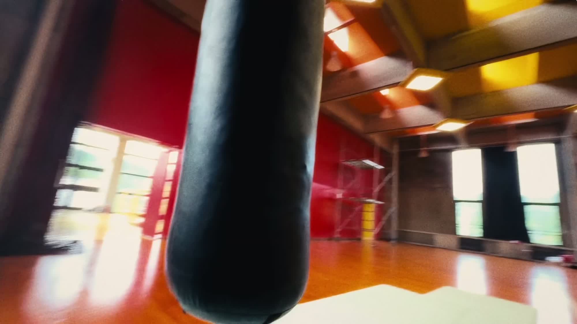 FR. 004 — Heavy bag