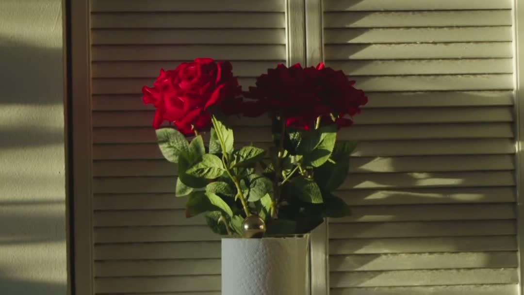 FR. 002 — Roses, shutter light