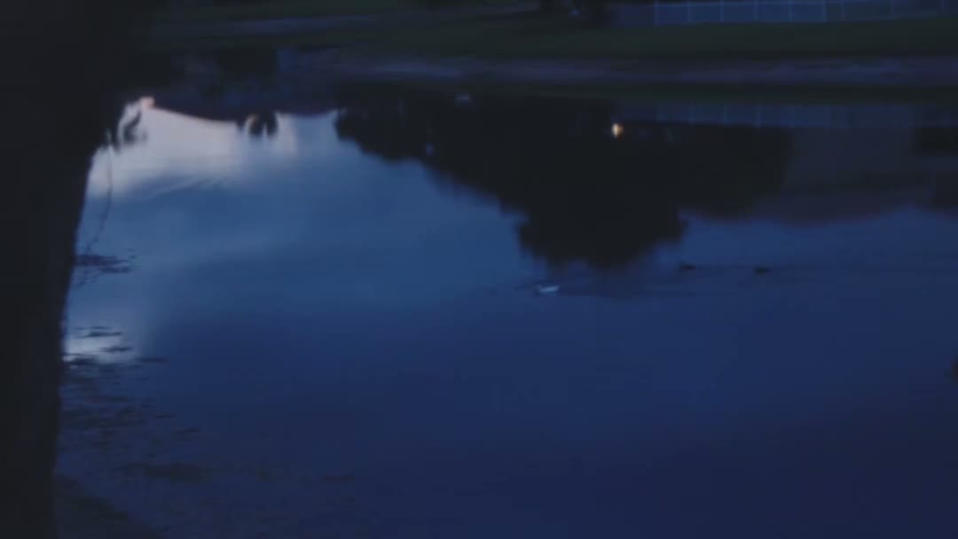 FR. 003 — Pond, blue hour