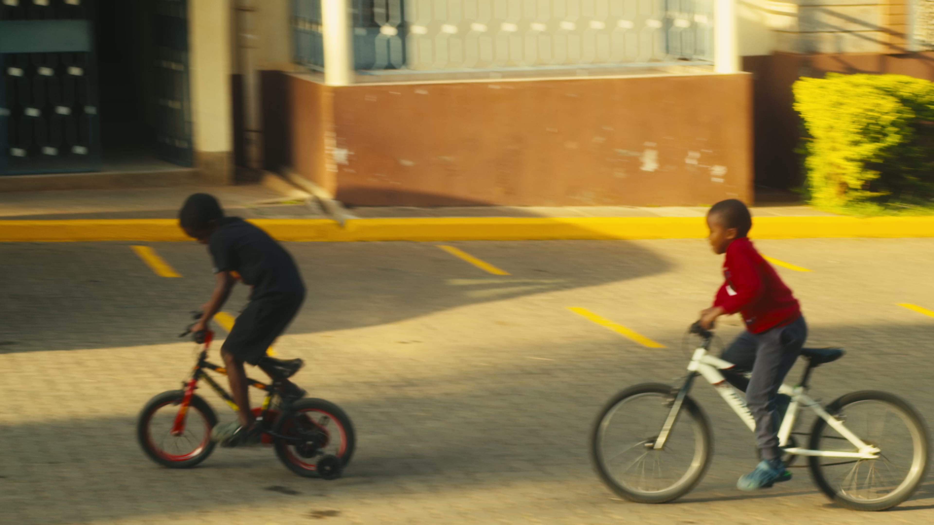 Boys racing bicycles in golden hour light
